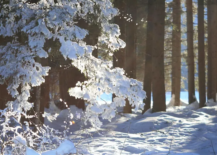 מלון Oberjoerg 3*